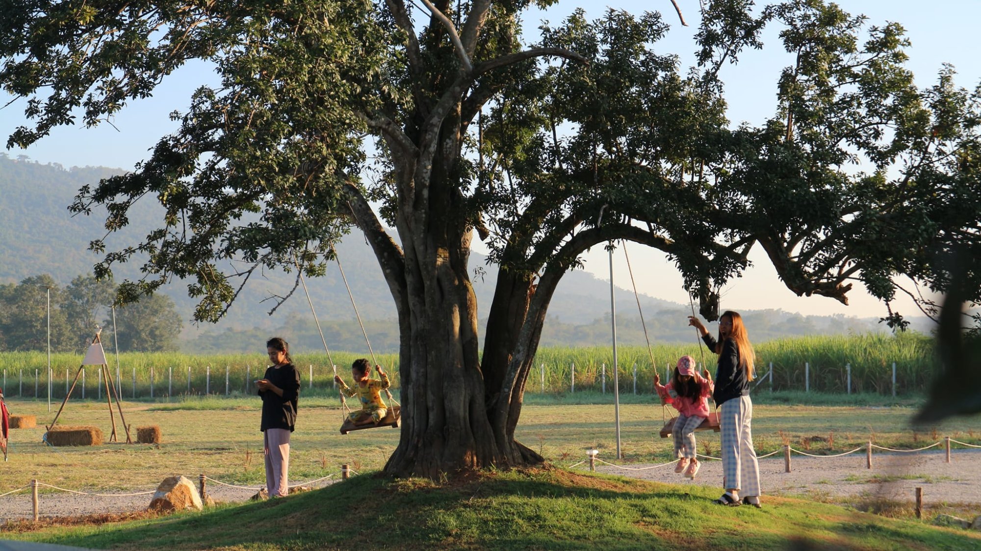 รูปภาพทั่วไป